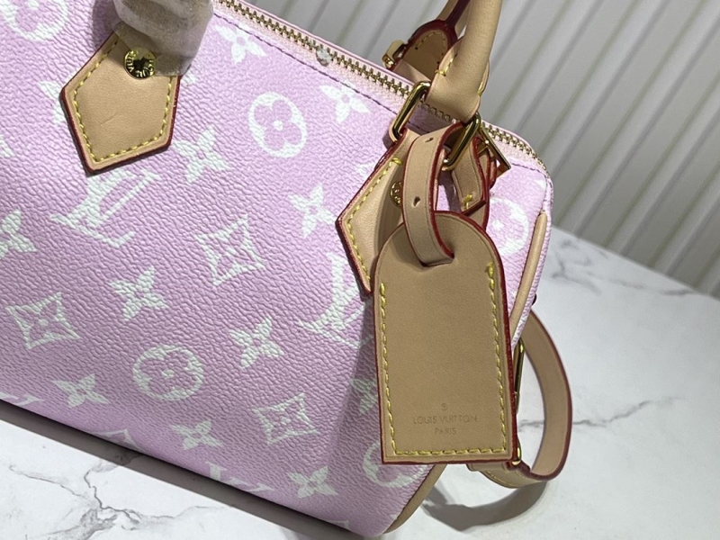 LV Speedy Bags